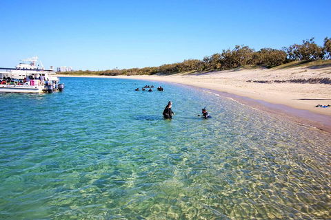 Wave Break Island Scuba Diving On The Gold Coast - Holiday Sunshine Coast 4