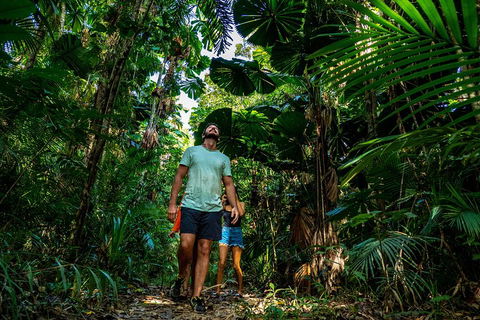 Full Day Daintree Rainforest And Mossman Gorge Tour - Sunshine Coast Tourism 0