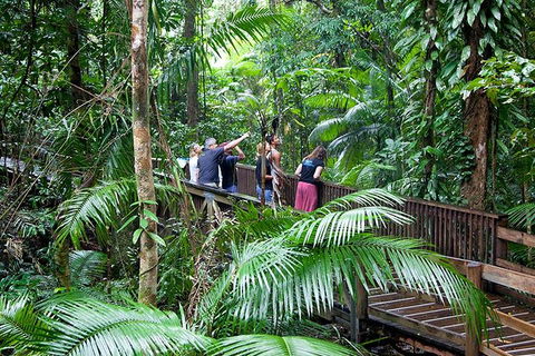 Full Day Daintree Rainforest And Mossman Gorge Tour - Sunshine Coast Tourism 1