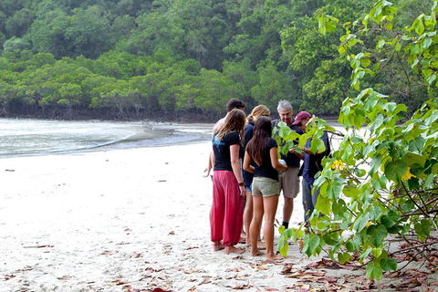 Full Day Daintree Rainforest And Mossman Gorge Tour - Sunshine Coast Tourism 2