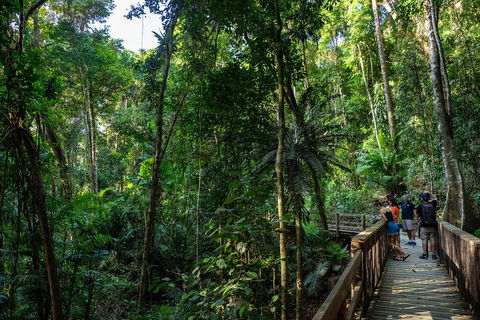 Full Day Daintree Rainforest And Mossman Gorge Tour - Sunshine Coast Tourism 5