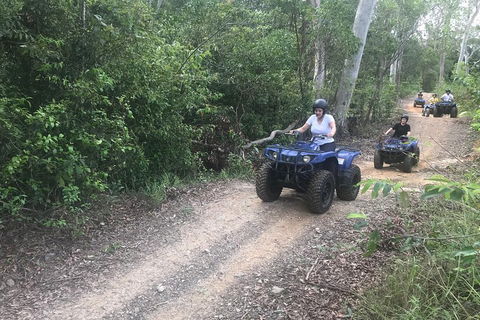 Cairns ATV Adventure Tour And Morning Train - Sunshine Coast Tourism 0