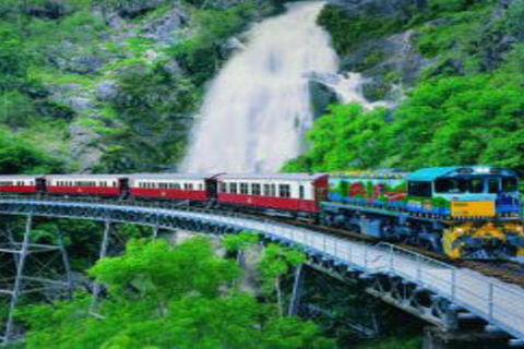 Cairns ATV Adventure Tour And Morning Train - Sunshine Coast Tourism 4