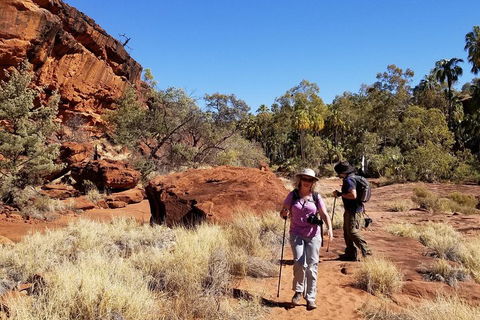 Palm Valley And Hermannsburg 1 Day 4WD Tour - Sunshine Coast Tourism 1