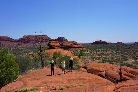 Palm Valley And Hermannsburg 1 Day 4WD Tour - Sunshine Coast Tourism 2