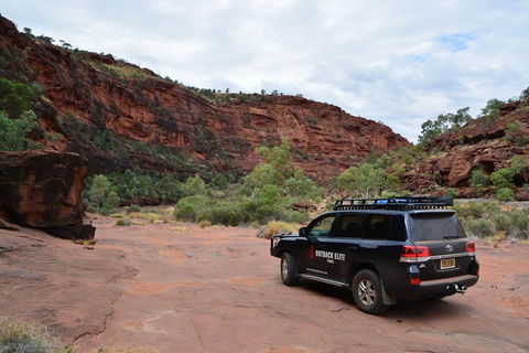 Palm Valley And Hermannsburg 1 Day 4WD Tour - Sunshine Coast Tourism 5