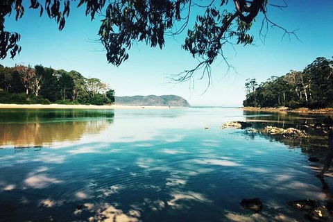 Full-Day Guided Bruny Island Tour From Hobart - Sunshine Coast Tourism 1