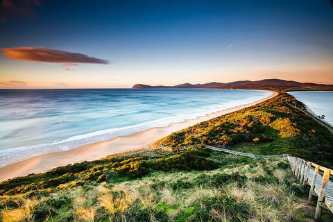 Full-Day Guided Bruny Island Tour From Hobart - Sunshine Coast Tourism 2