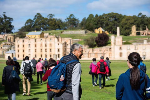 Port Arthur Express Shuttle - Sunshine Coast Tourism 4