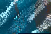 Cygnet Bay Explorer, Broome