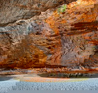 Bungle Bungle Explorer - Holiday Sunshine Coast