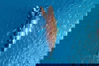 Buccaneer Explorer, Broome