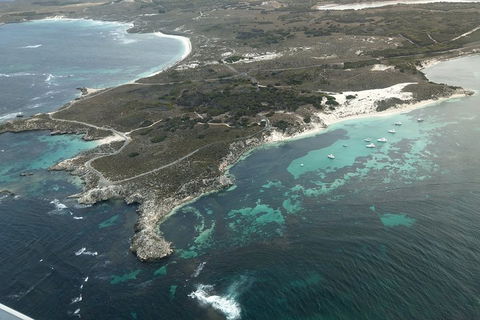 Full Day Tour By Seaplane To Rottnest Island Small Group Trip - Sunshine Coast Tourism 5