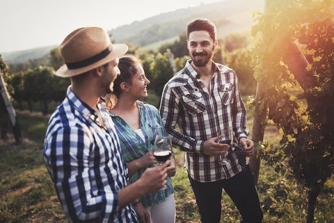 Full Day Mount Tamborine Winery Tour From Gold Coast - Holiday Sunshine Coast 5