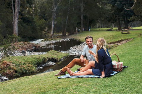 Mt Tamborine - Hinterland Wonders Self Guided - Sunshine Coast Tourism 0