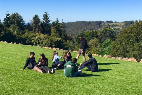 Mt Tamborine - Hinterland Wonders Self Guided - Sunshine Coast Tourism 1