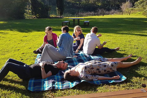 Mt Tamborine - Hinterland Wonders Self Guided - Sunshine Coast Tourism 2