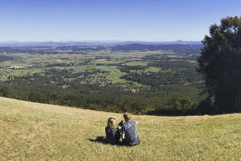 Mt Tamborine - Hinterland Wonders Self Guided - Sunshine Coast Tourism 4