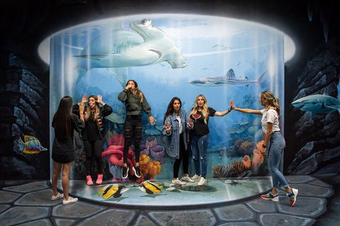 ArtVo Immersive Gallery Experience - Holiday Sunshine Coast 2