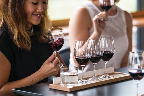 Adelaide Hills Regional / Hahndorf German Village Tour - Holiday Sunshine Coast 5