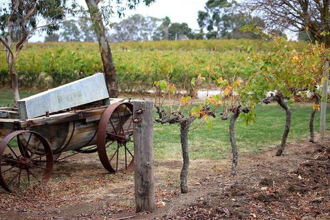 Maggie Beer Farm - Barossa Valley Regional Tour - Holiday Sunshine Coast 1