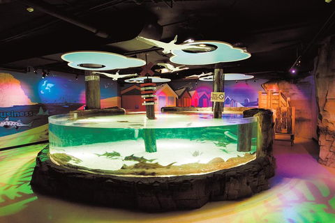 SEA LIFE Melbourne Aquarium Admission Ticket - Sunshine Coast Tourism 5