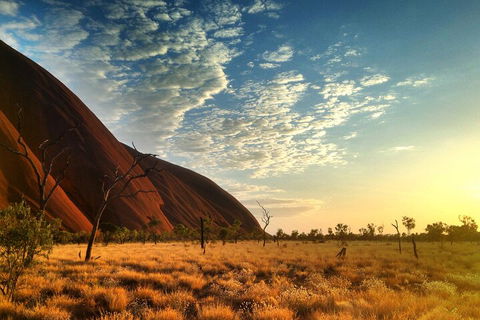Highlights Of Uluru Including Sunrise And Breakfast - Sunshine Coast Tourism 0