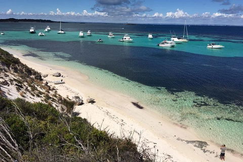 Experience Rottnest With Ferry & Bike Hire From Perth Or Fremantle - Holiday Sunshine Coast 0