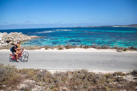 Experience Rottnest With Ferry & Bike Hire From Perth Or Fremantle - Holiday Sunshine Coast 2