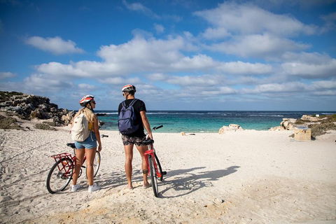 Experience Rottnest With Ferry & Bike Hire From Perth Or Fremantle - Holiday Sunshine Coast 5