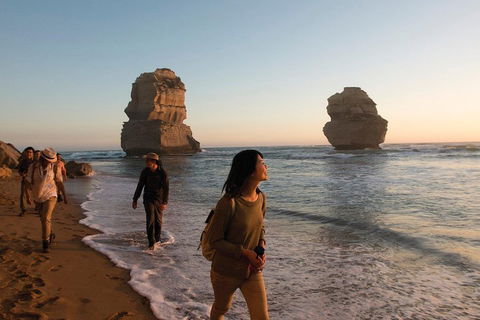 Full-Day Great Ocean Road And 12 Apostles Sunset Tour From Melbourne - Sunshine Coast Tourism 4