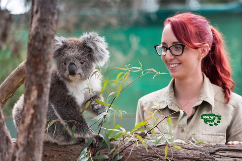 Small-Group Phillip Island Penguin Parade Day Tour From Melbourne - Sunshine Coast Tourism 0