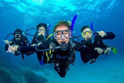 Great Barrier Reef Diving And Snorkeling Cruise From Cairns - Sunshine Coast Tourism 0