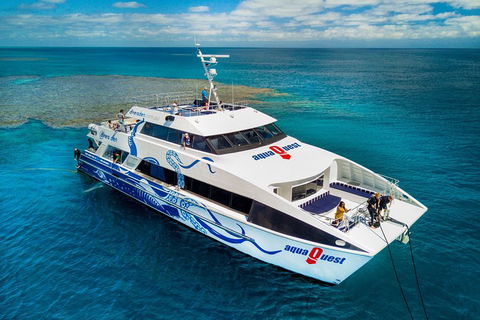Great Barrier Reef Diving And Snorkeling Cruise From Cairns - Sunshine Coast Tourism 5