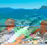 Brisbane Day in the Country Full-Day Small-Group Tour with Lunch - Sunshine Coast Tourism