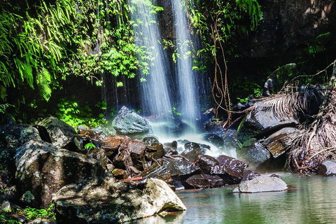 Full Day Small Group Luxury Tour To Tamborine Mountain - Holiday Sunshine Coast 0