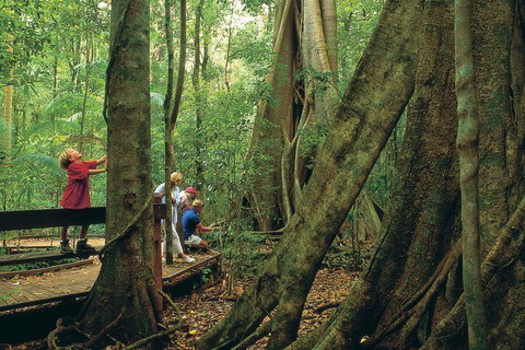 Full Day Small Group Luxury Tour To Tamborine Mountain - Holiday Sunshine Coast 1