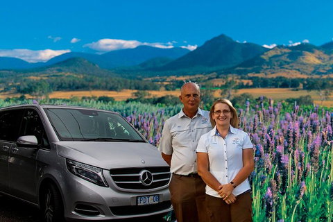 Full Day Small Group Luxury Tour To Tamborine Mountain - Holiday Sunshine Coast 3