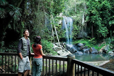 Full Day Small Group Luxury Tour To Tamborine Mountain - Holiday Sunshine Coast 4