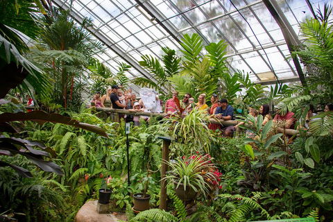 Australian Butterfly Sanctuary - Holiday Sunshine Coast 0