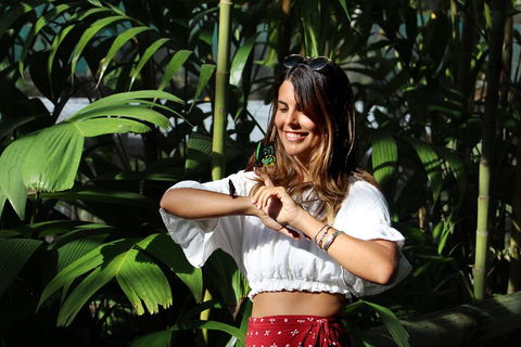 Australian Butterfly Sanctuary - Holiday Sunshine Coast 1