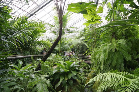 Australian Butterfly Sanctuary - Holiday Sunshine Coast 3