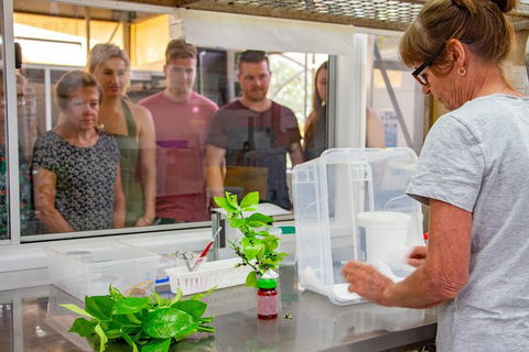 Australian Butterfly Sanctuary - Holiday Sunshine Coast 5