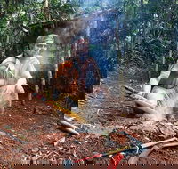 Kuranda Highlights including Rainforestation Aboriginal Culture and Wildlife - Sunshine Coast Tourism