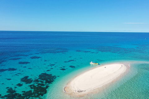 Ocean Safari Great Barrier Reef Experience In Cape Tribulation - Sunshine Coast Tourism 0