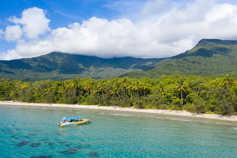 Ocean Safari Great Barrier Reef Experience In Cape Tribulation - Sunshine Coast Tourism 2