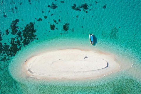 Ocean Safari Great Barrier Reef Experience In Cape Tribulation - Sunshine Coast Tourism 3