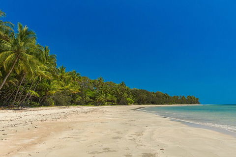 Ocean Safari Great Barrier Reef Experience In Cape Tribulation - Sunshine Coast Tourism 4