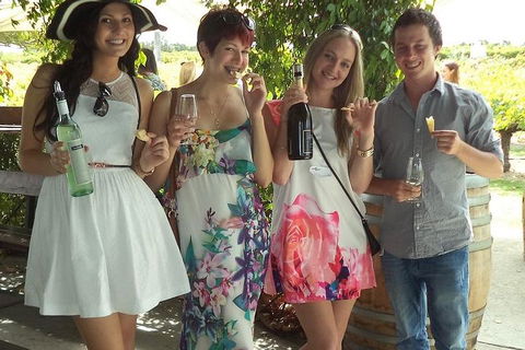 1/2 Day Swan Valley Wine Cheese & Chocolate Tour Inc Afternoon Cruise To Perth - Sunshine Coast Tourism 4