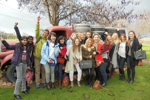 1/2 Day Swan Valley Wine Cheese & Chocolate Tour Inc Afternoon Cruise To Perth - Sunshine Coast Tourism 5